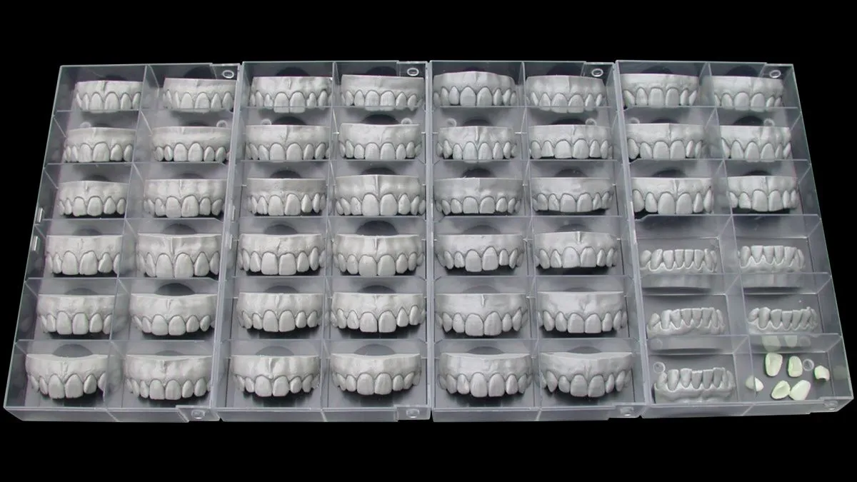 картинка Exocad Tooth Library - дополнительная библиотека естественных зубов от магазина Udentis.ru